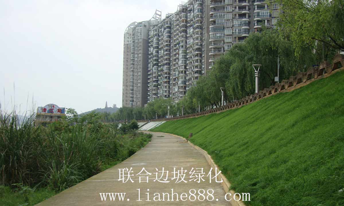 三維網客土噴播綠化施工工藝