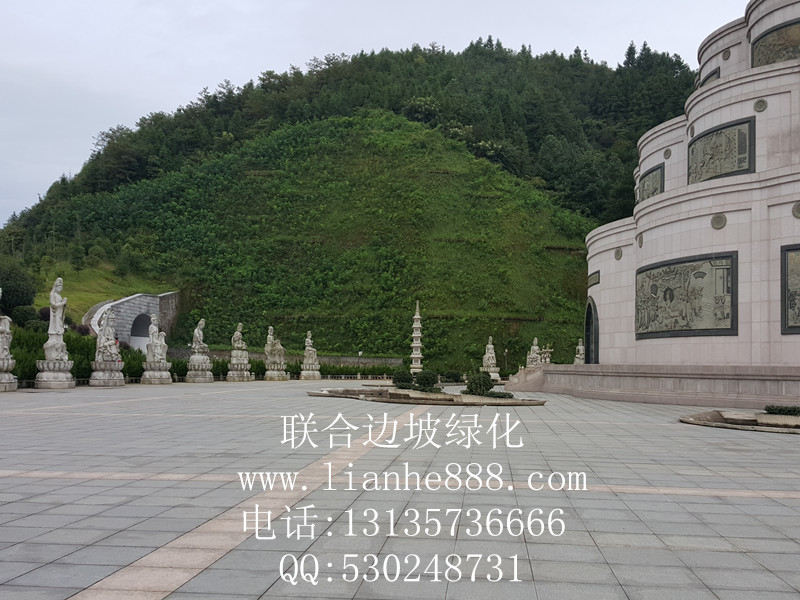 1716537211585576.jpg 20180110190557113.jpg