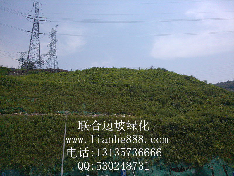 1716625201127675.jpg 20180109200121711.jpg