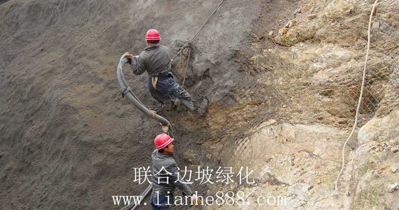 1716950102653394.jpg 20200109143500.jpg