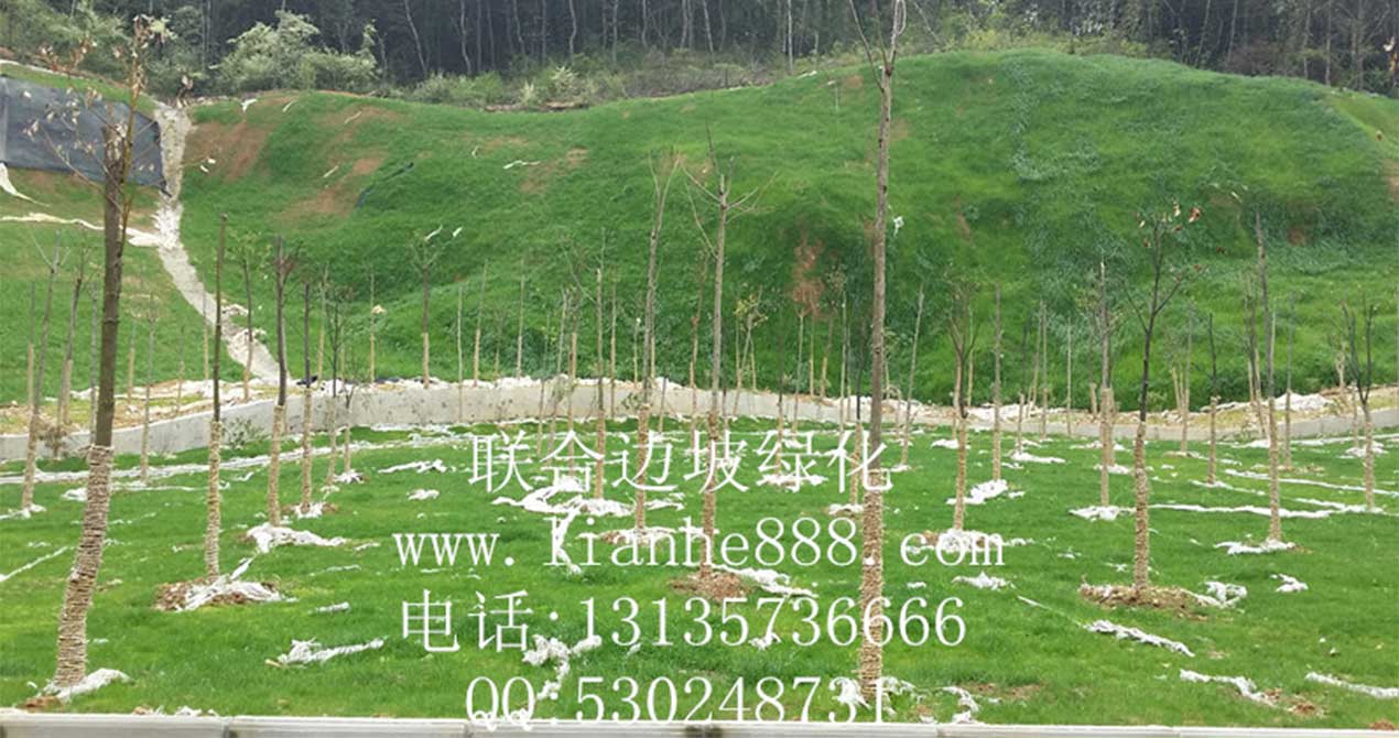 1716950399789116.jpg 20180110094745278.jpg