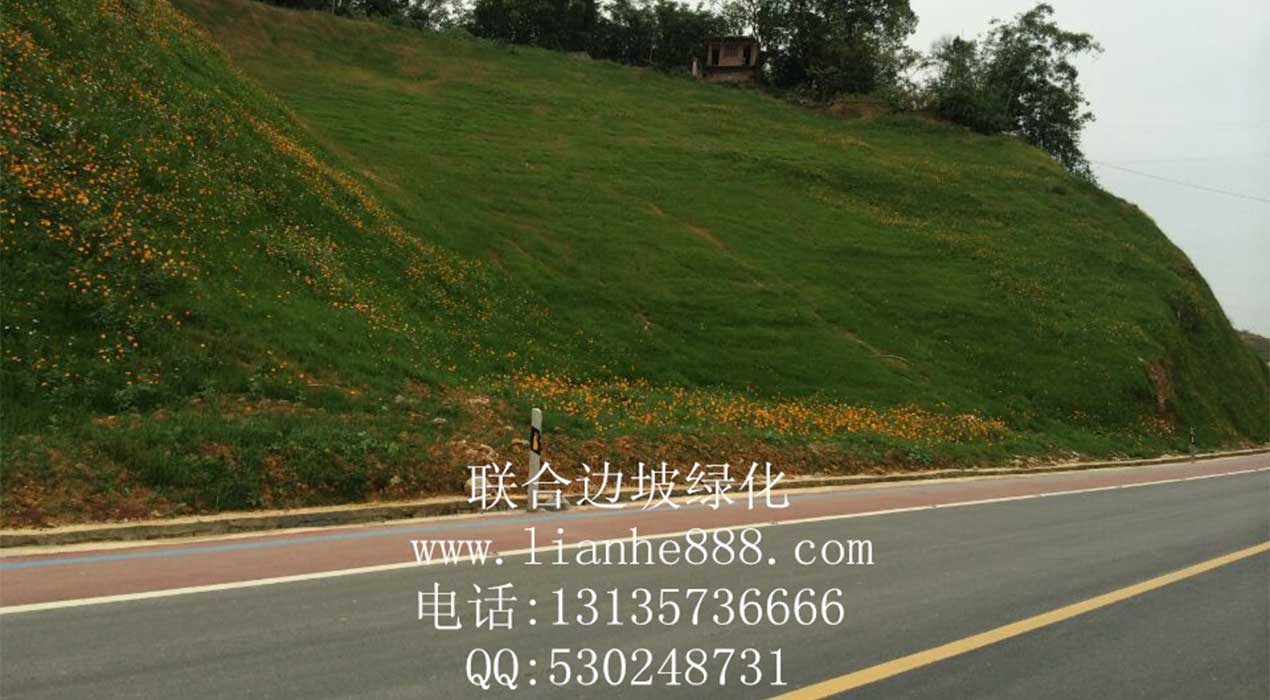 1718328377165457.jpg 20240607143623.jpg