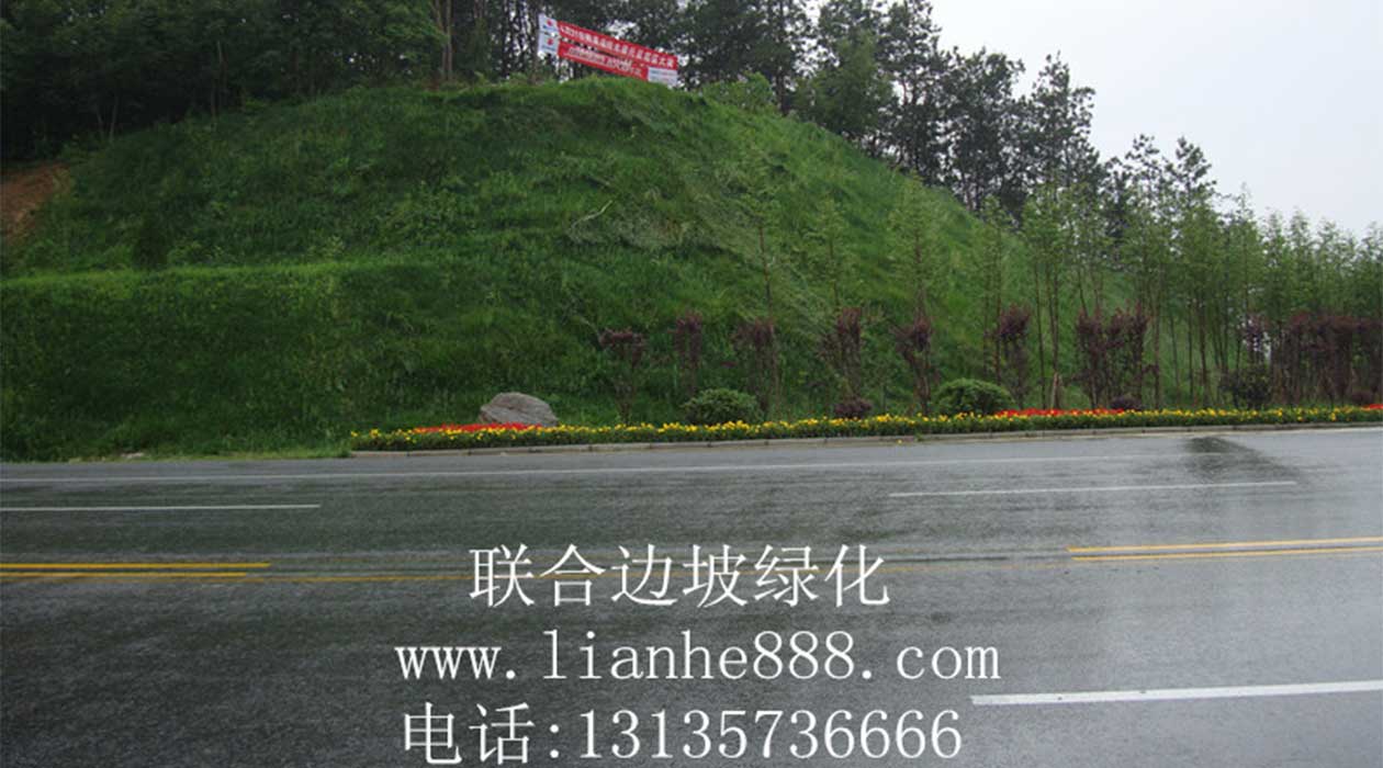 1719990307535487.jpg 邊坡治理綠化.jpg